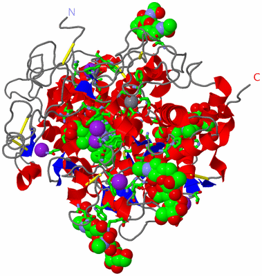 Image Asym./Biol. Unit - sites