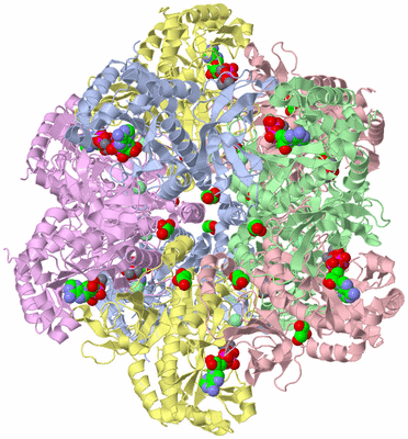 Image Biological Unit 1