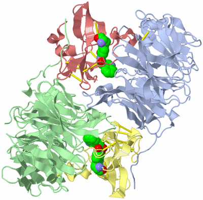 Image Asym./Biol. Unit