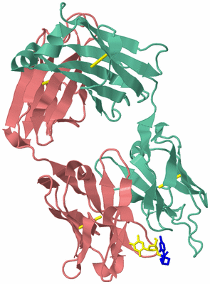 Image Asym./Biol. Unit