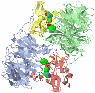 Image Asym./Biol. Unit