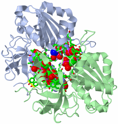 Image Biol. Unit 1 - sites