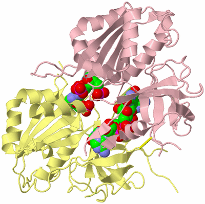 Image Biological Unit 2