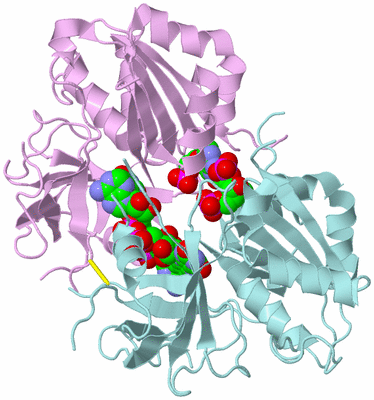 Image Biological Unit 3