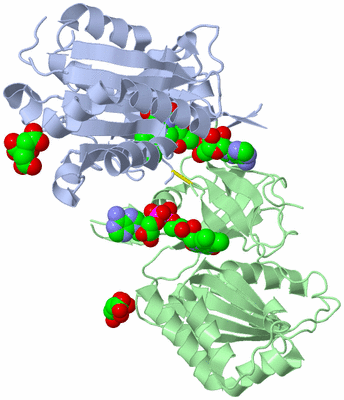 Image Biological Unit 1