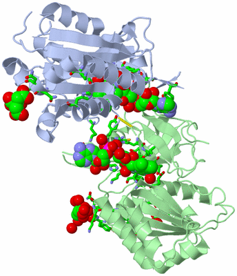 Image Biol. Unit 1 - sites