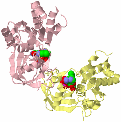 Image Biological Unit 2