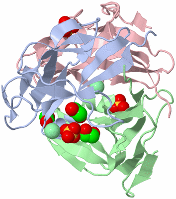 Image Biological Unit 1