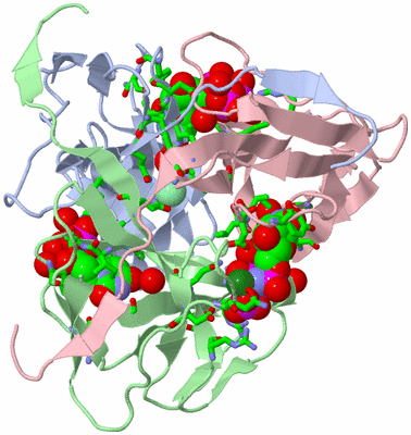 Image Asym./Biol. Unit - sites