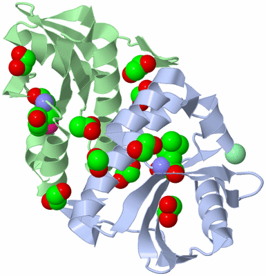 Image Asym./Biol. Unit