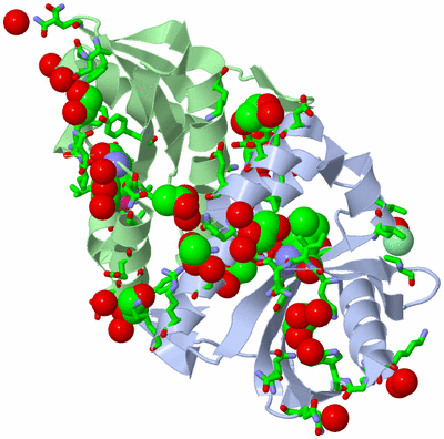 Image Asym./Biol. Unit - sites