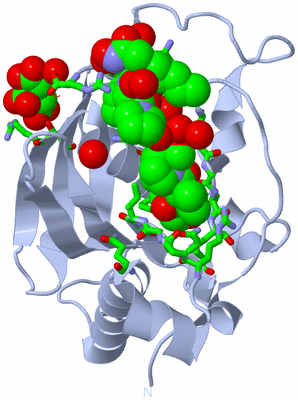 Image Biol. Unit 1 - sites