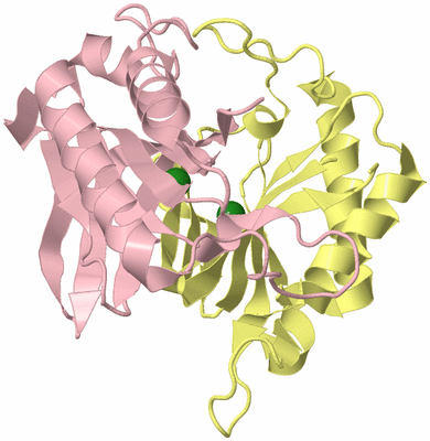 Image Biological Unit 2