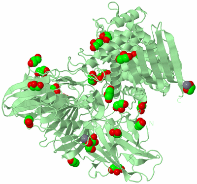 Image Biological Unit 2
