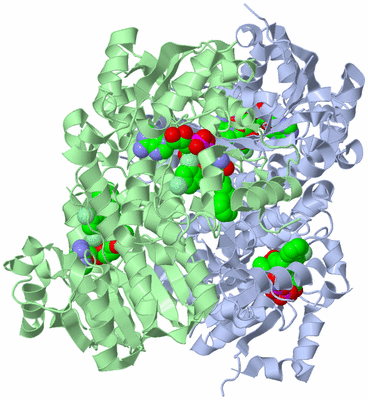 Image Biological Unit 1