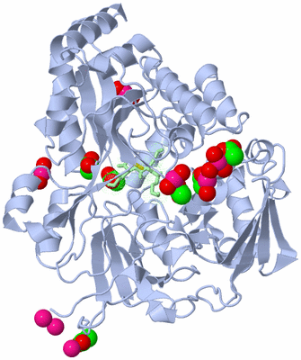 Image Asym./Biol. Unit