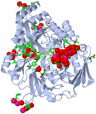 Image Asym./Biol. Unit - sites