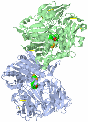 Image Asym./Biol. Unit