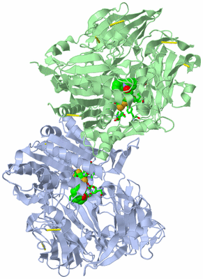 Image Asym./Biol. Unit - sites