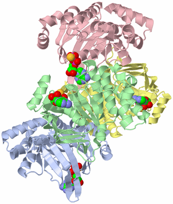 Image Asym./Biol. Unit