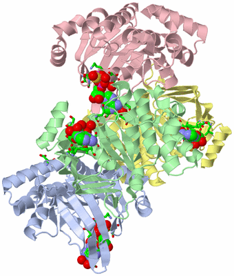 Image Asym./Biol. Unit - sites