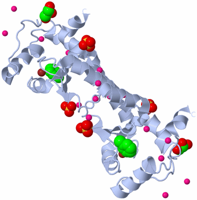 Image Biological Unit 1