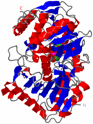 Image Asym./Biol. Unit