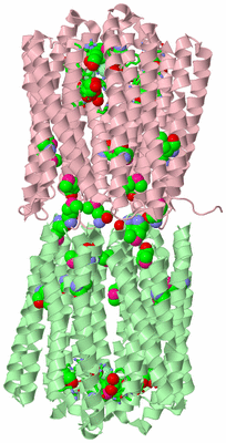 Image Biol. Unit 1 - sites