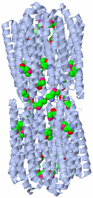 Image Biological Unit 3