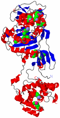 Image Asym./Biol. Unit