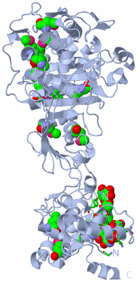 Image Biol. Unit 1 - sites