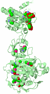 Image Biological Unit 2