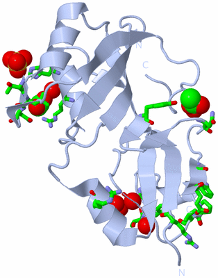 Image Biol. Unit 1 - sites