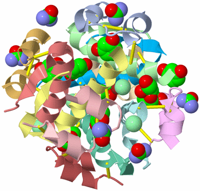 Image Asym./Biol. Unit