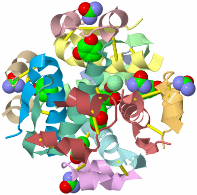 Image Biological Unit 1