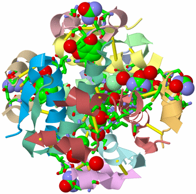 Image Biol. Unit 1 - sites