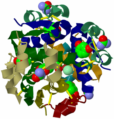 Image Biological Unit 2