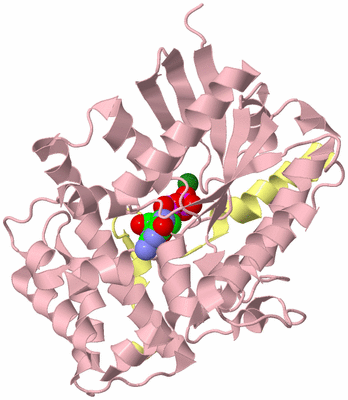 Image Biological Unit 2