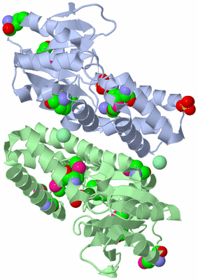 Image Asym./Biol. Unit