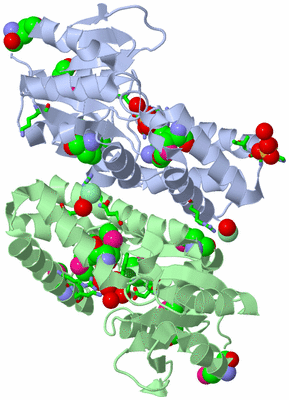 Image Asym./Biol. Unit - sites