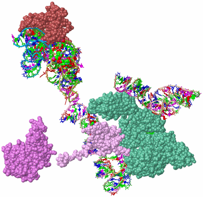 Image Asym./Biol. Unit