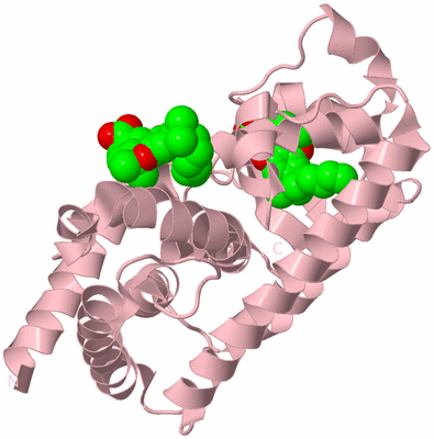 Image Biological Unit 3