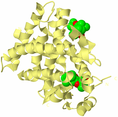 Image Biological Unit 4