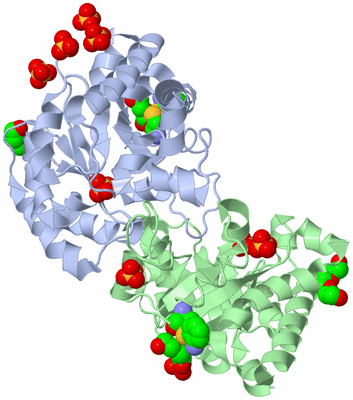 Image Asym./Biol. Unit