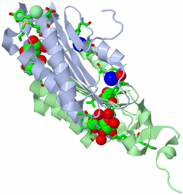 Image Asym./Biol. Unit - sites