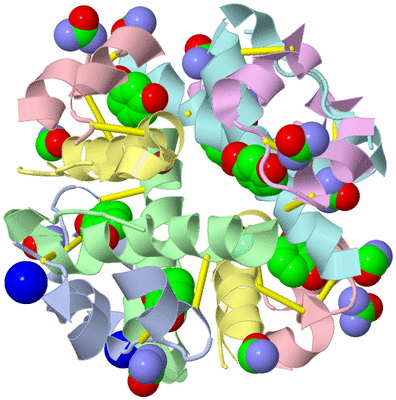 Image Biological Unit 1