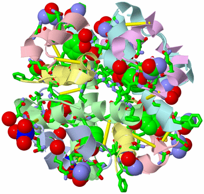 Image Biol. Unit 1 - sites