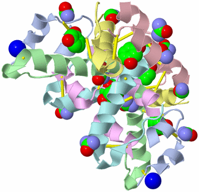 Image Biological Unit 2