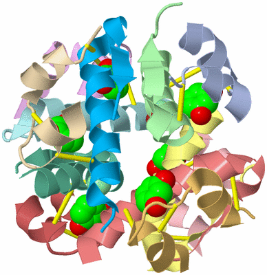 Image Asym./Biol. Unit