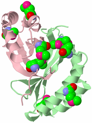 Image Biological Unit 2